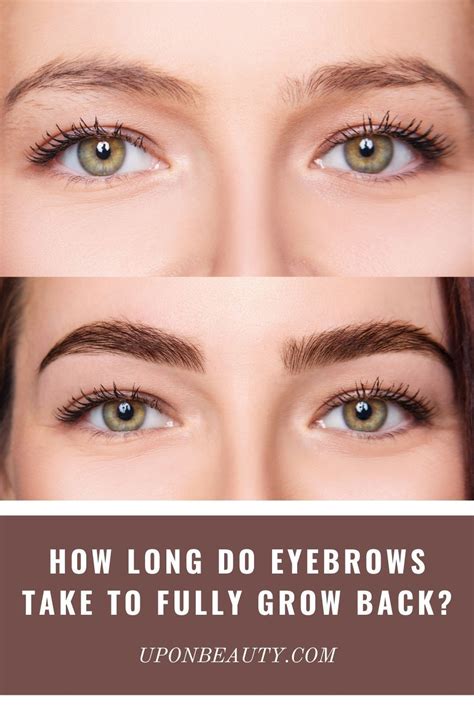 How long does it take for eyebrows to grow. Things To Know About How long does it take for eyebrows to grow. 